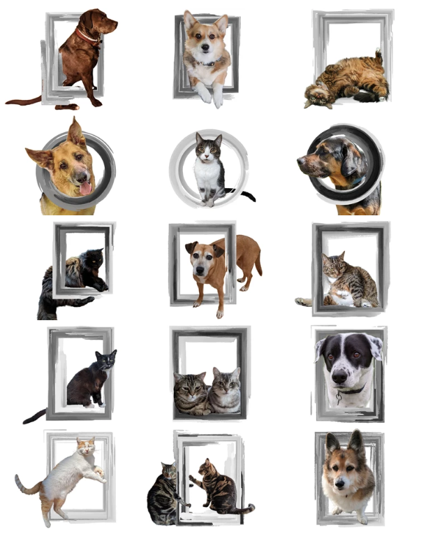 Meet the inspiration behind our placeholder frames