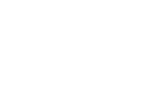 WxH logo white